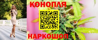 прущие крисы Канаш